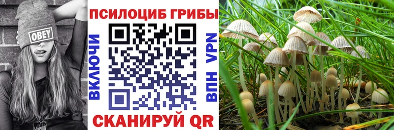 это формула  Дегтярск  Псилоцибиновые грибы Cubensis 